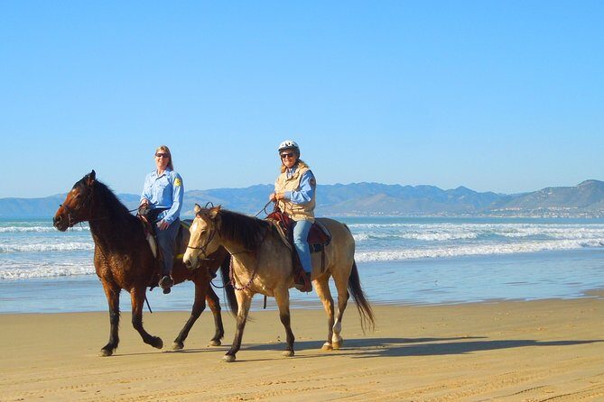 Horseback Ride & Alcatraz Prison Tickets - The Value and Practicalities