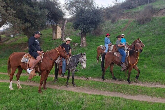 Horseback Ride and Carne Asada Ranch Experience in Ensenada - Who Would Love This Tour?