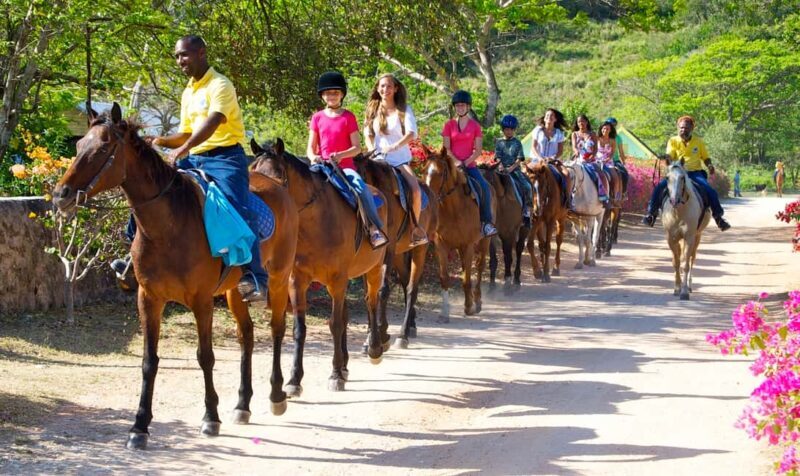 Horseback Ride and Swim Excursion - An In-Depth Look at the Horseback Ride and Swim Tour