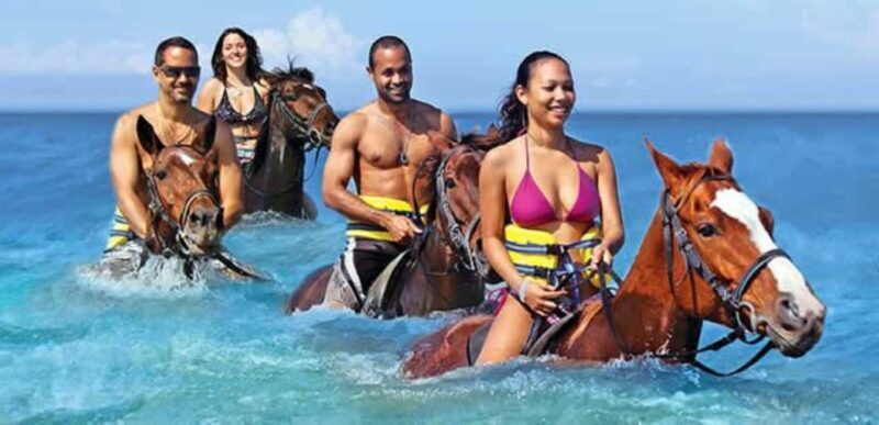 Horseback Ride and Swim Ocho Rios: Jam West Hanover - The Itinerary and Logistics
