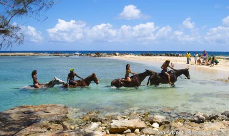 Horseback Ride and Swim Ocho Rios: Jam West Hanover - The Ride: Coastline and Culture