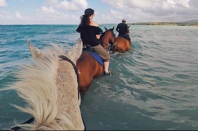 Horseback Ride and Swim Plus Dunns River from Montego Bay - The Sum Up