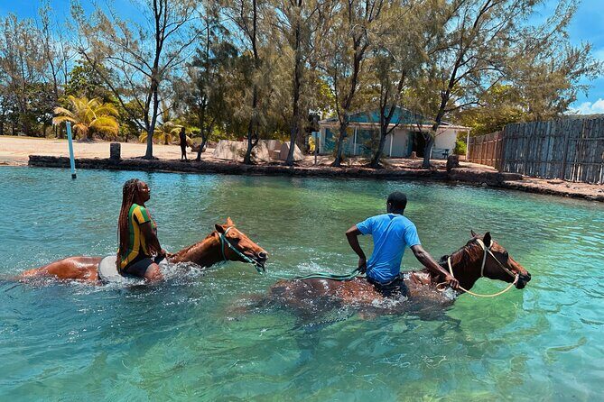 Horseback Ride and Swim Private Tour In Montego Bay - Key Points