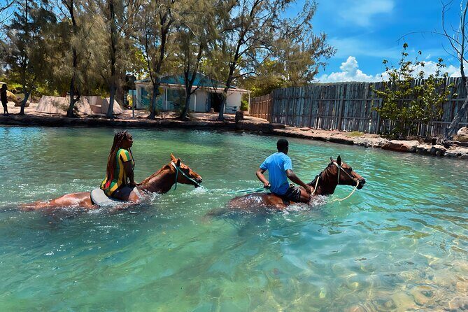 Horseback Ride and Swim Private Tour In Montego Bay - A Detailed Look at the Horseback Ride and Swim Experience