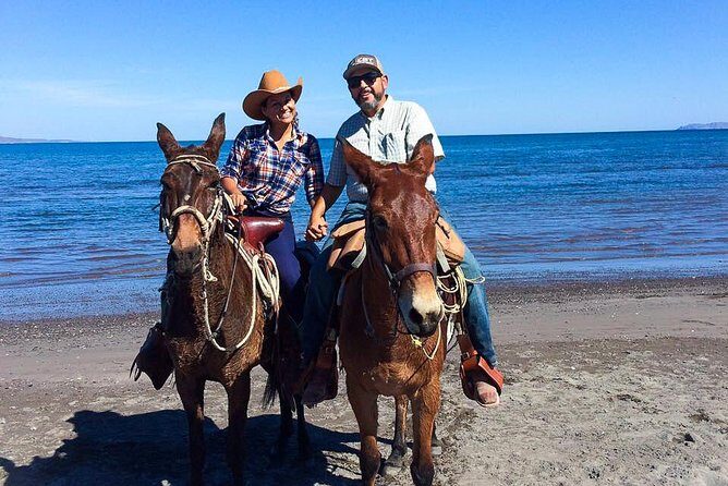 Horseback ride and witness magical sunset of Loreto, BCS - Exploring Loreto’s Horseback Ride: A Closer Look