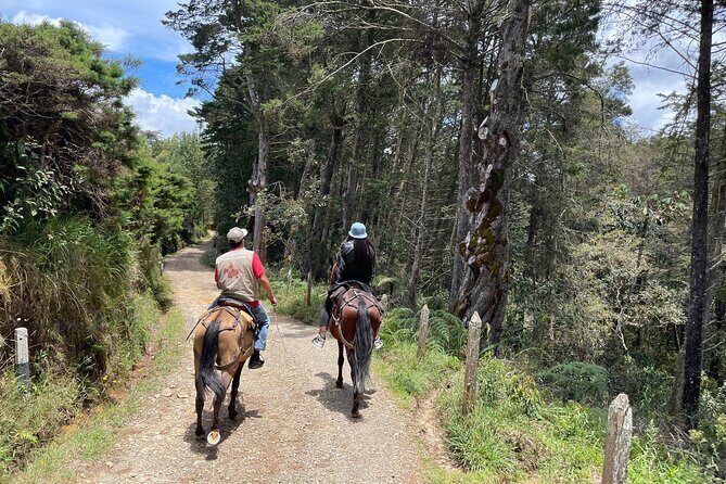 Horseback Ride Around Medellín's Beautiful Countryside! - Key Points