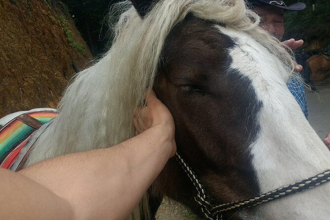Horseback Ride Around Medellín's Beautiful Countryside! - The Sum Up