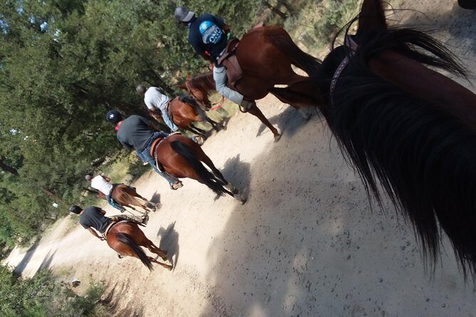 Horseback Ride for 2 or more - Key Points
