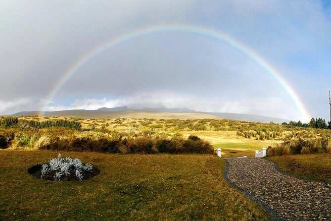 Horseback Ride & Hike in Cotopaxi Volcano Day Trip from Quito - A Deep Dive into the Cotopaxi Horseback & Hike Experience