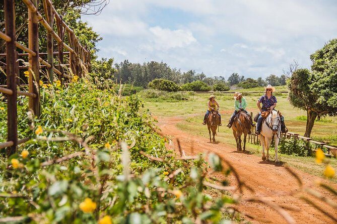 Horseback Ride Like an Authentic Paniolo in Kahuku - Horseback Ride Like an Authentic Paniolo in Kahuku