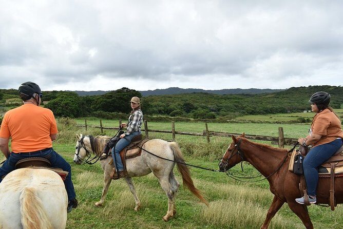 Horseback Ride Like an Authentic Paniolo in Kahuku - A Detailed Look at the Experience