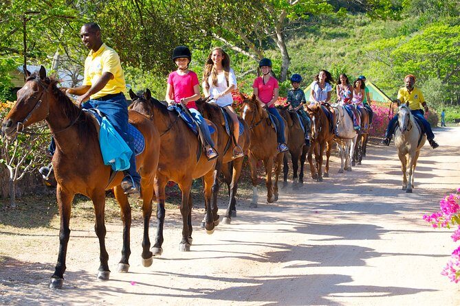 Horseback Ride n Swim and Green Grotto Adventure Tour from Falmouth - What We Love About This Tour