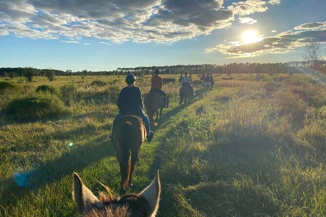 Horseback Ride on Scenic Lake Louisa Trails - Discovering Lake Louisa on Horseback: A Balanced Guide to the Scenic Trails