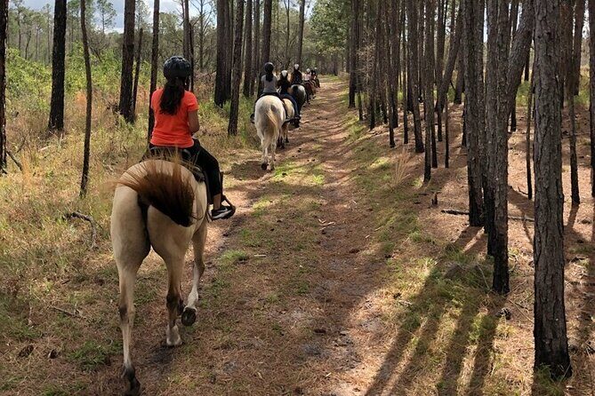 Horseback Ride on Scenic Lake Louisa Trails - Who Should Consider This Tour?