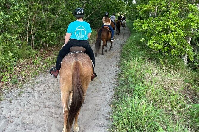 Horseback Ride on Scenic Lake Louisa Trails - The Sum Up