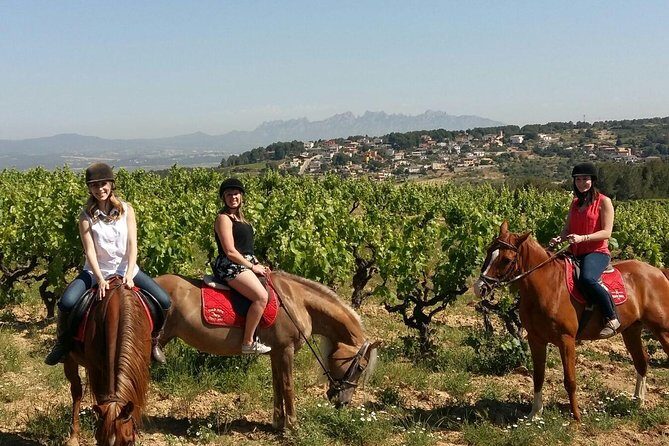 Horseback Ride, Penedes, Wine Tasting & Tapas Private Tour - What the Tour Entails and Why It Matters