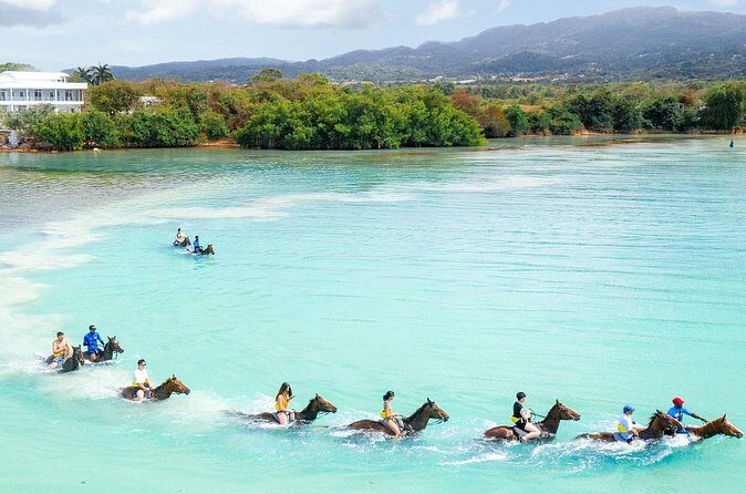 Horseback Ride/Swim and Blue Hole Falls Daytrip with Transfers - Who Should Book This Tour?