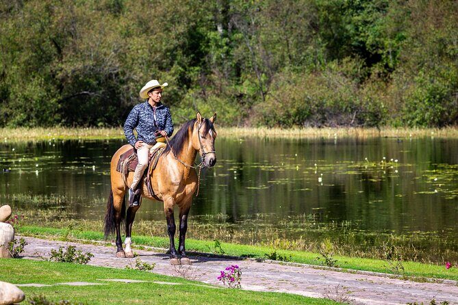 Horseback Ride Through Puerto Plata - Why This Tour Is Worth Considering