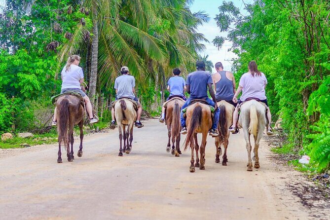 HORSEBACK - RIDE Through Punta Cana - Who Would Enjoy This Tour?