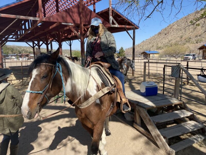 Horseback Ride thru Joshua Tree Forest with Buffalo & Lunch - Key Points