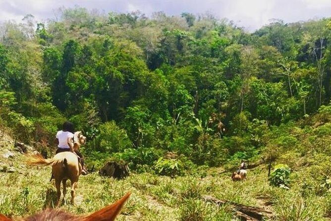Horseback Ride to the Forgotten Jungle City - Horseback Ride to the Forgotten Jungle City