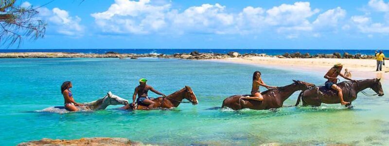 Horseback Ride , Tubing & Dunn's River Falls Daytrip - Why This Tour Offers Good Value