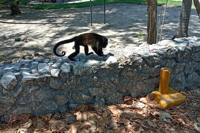 Horseback Riding - 1 hour 30 minutes Guided Tour - Key Points