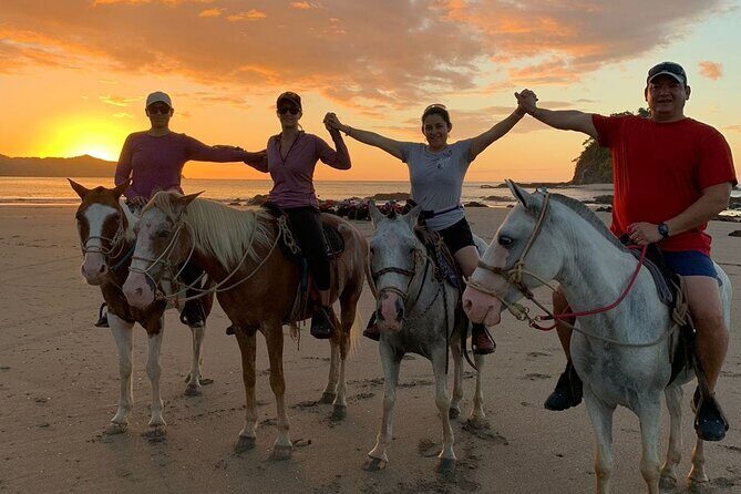 Horseback Riding - 1 hour 30 minutes Guided Tour - The Sum Up: Who Is This Tour For?