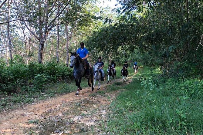 Horseback Riding 1 hour trail - Why This Tour Works Well