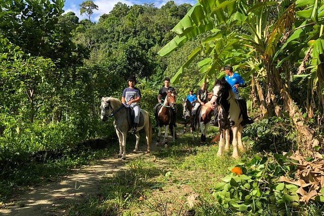 Horseback Riding 1 hour trail - Frequently Asked Questions