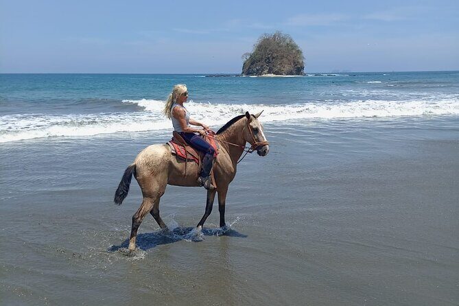Horseback Riding - 2h Guided Tour - Key Points