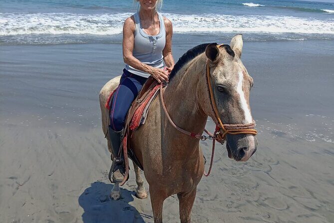 Horseback Riding - 2h Guided Tour - An In-Depth Look at the Playa Flamingo Horseback Tour