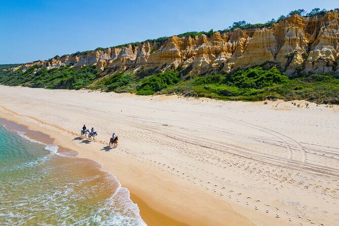 Horseback Riding, 4 Options-Mountain, Lesson Ring, Beach (2Hours) - Key Points