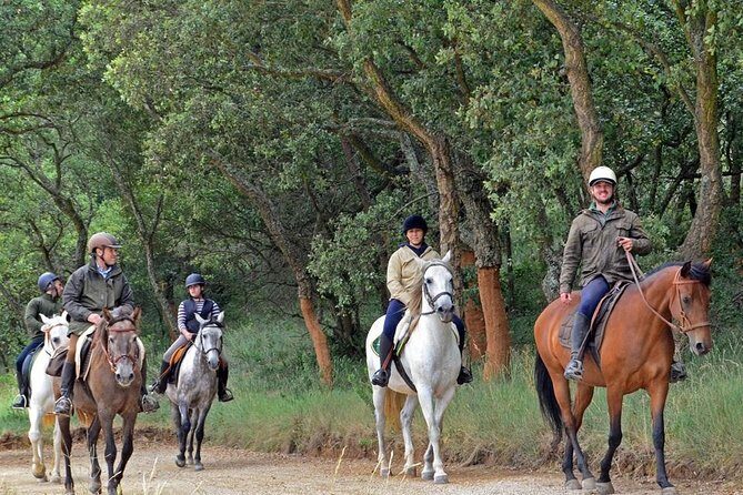 Horseback Riding, 4 Options-Mountain, Lesson Ring, Beach (2Hours) - Possible Considerations and Limitations