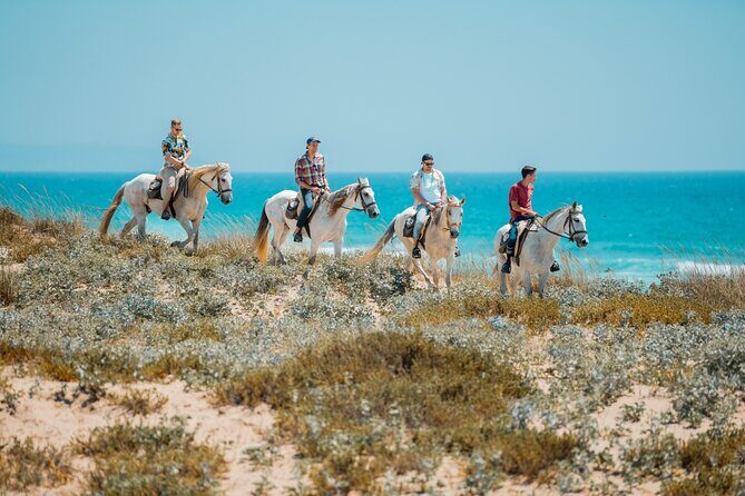 Horseback Riding, 4 Options-Mountain, Lesson Ring, Beach (2Hours) - Who Is This Tour Best Suited For?