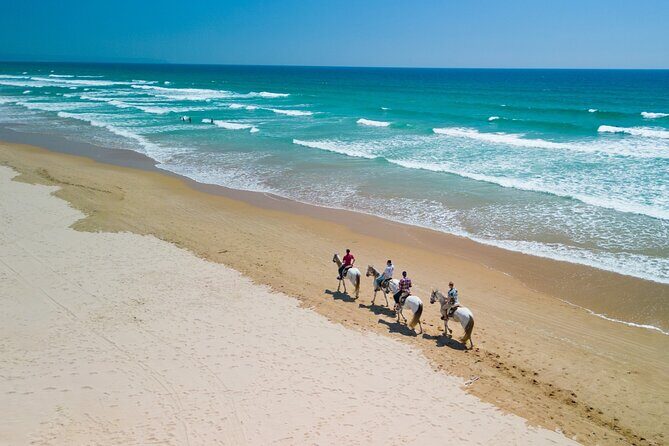 Horseback Riding, 4 Options-Mountain, Lesson Ring, Beach (2Hours) - Final Thoughts