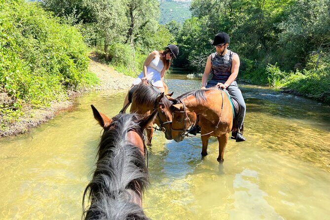 Horseback Riding Across River Ljuta with transport - Practicalities and Considerations
