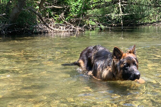 Horseback Riding Across River Ljuta with transport - Authentic and Delightful: What Reviews Tell Us