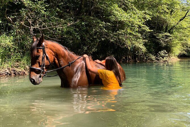 Horseback Riding Across River Ljuta with transport - Who Would Love This Tour?