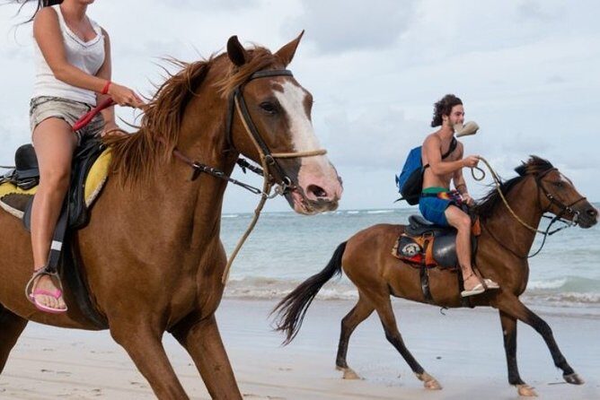 Horseback Riding Adventure on Macao Beach  Punta Cana - Key Points