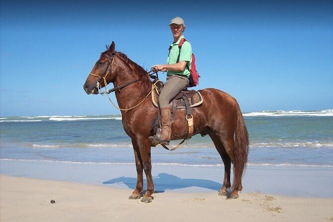 Horseback Riding Adventure Punta Cana - An In-Depth Look at the Horseback Riding Adventure