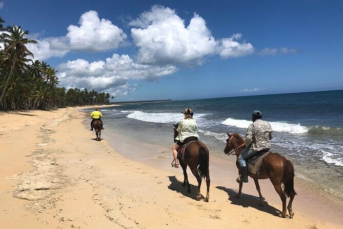Horseback Riding Adventure to Macao Alto Beaches in Punta Cana - A Deep Dive into the Horseback Riding Experience in Punta Cana