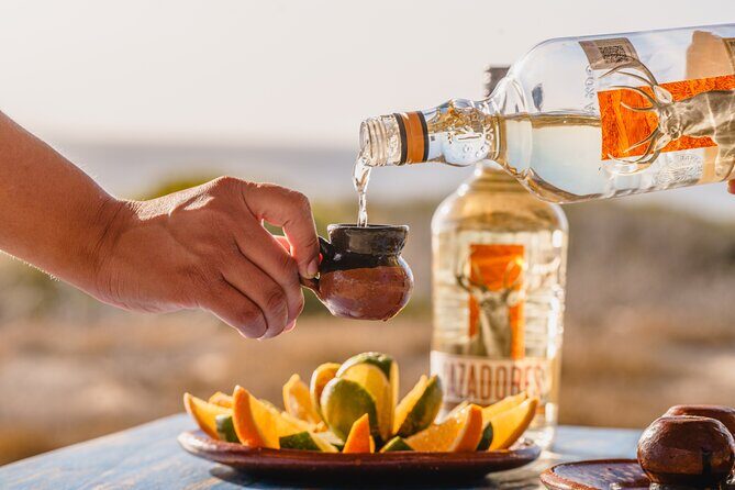 Horseback Riding Adventure y Tequila Tasting in Los Cabos - Exploring the Details of the Horseback Riding Tour