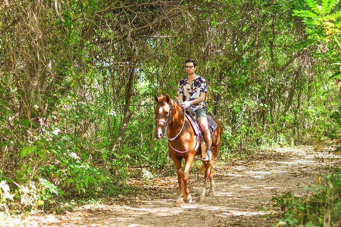 Horseback Riding along Macao Beach with Transportation - Key Points