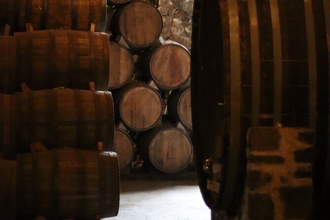 Horseback Riding among Agaves and Food: Experience the Morning in Amatitan - The Meeting Point and Starting Details