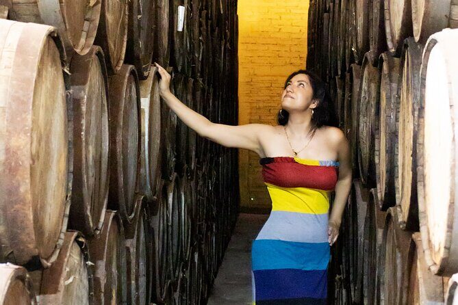 Horseback Riding among Agaves and Food: Experience the Morning in Amatitan - End of the Tour and Return