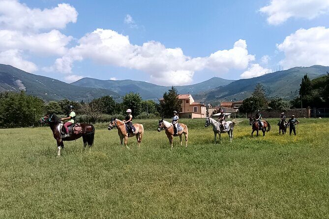 Horseback riding and aperitif 2 hours for beginners - Who Should Consider This Tour?