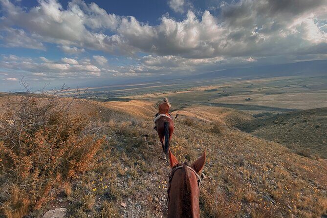 Horseback riding and barbecue in a private ranch - La Carrera, Mendoza - Exploring La Carrera Ranch: The Full Experience