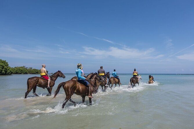 Horseback Riding and Blue Hole, Ocho Rios or River Tubing - Final Words