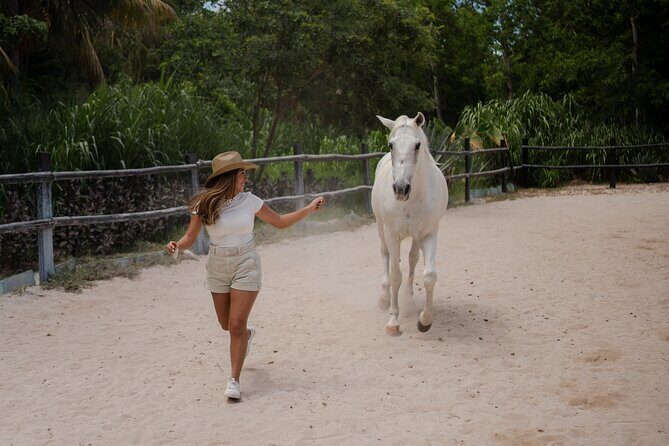 Horseback Riding and Cenote Swim from Cancun or Playa del Carmen - What Makes This Tour Stand Out?